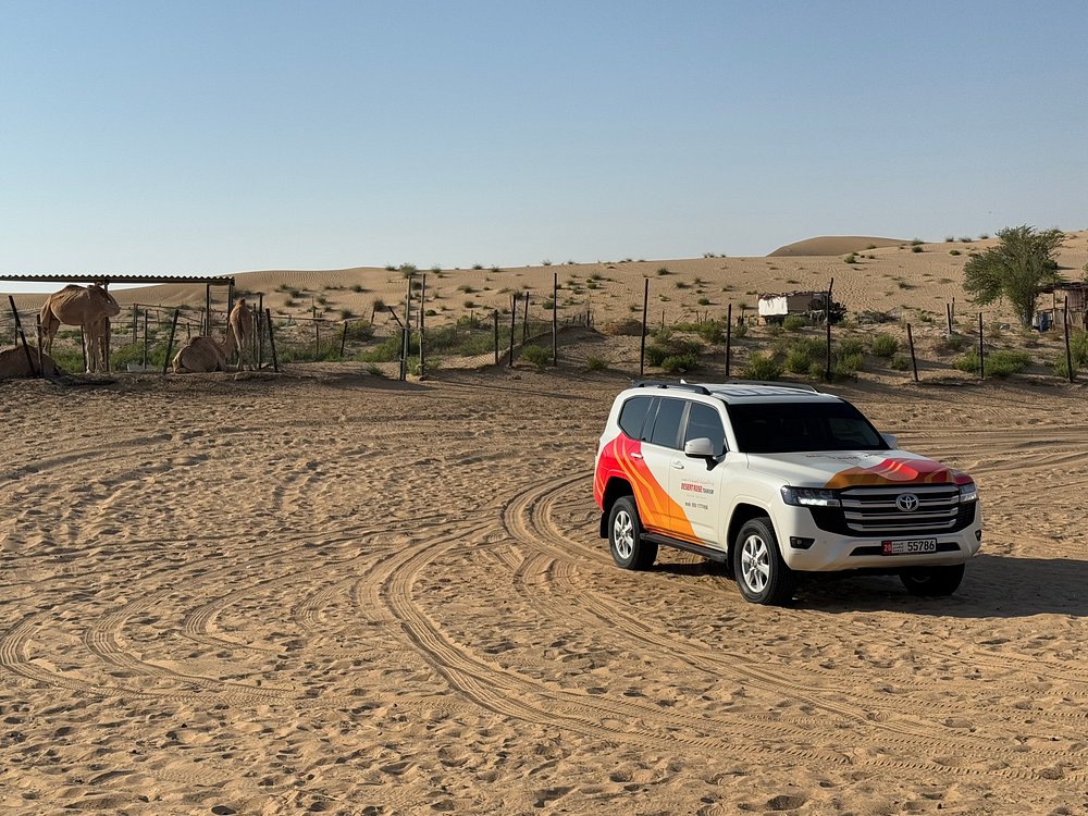 Morning Desert Safari From Abu Dhabi | ®ExcursionMania