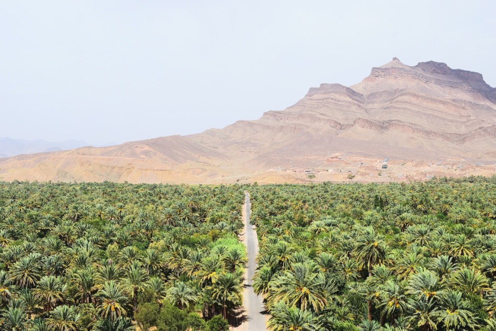 From Ouarzazate: 3 Days tour though Merzouga & Dades | ®ExcursionMania