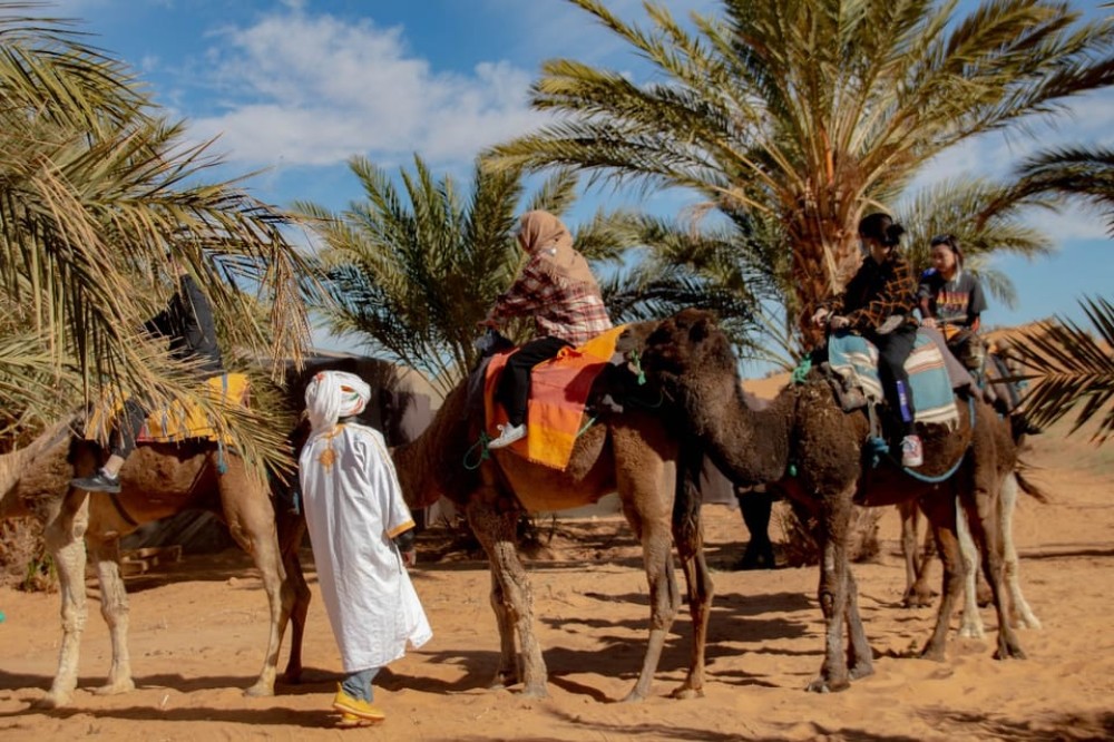 From Marrakech:4 Days 3 Nights Desert Tour back to Marrakech | ®ExcursionMania