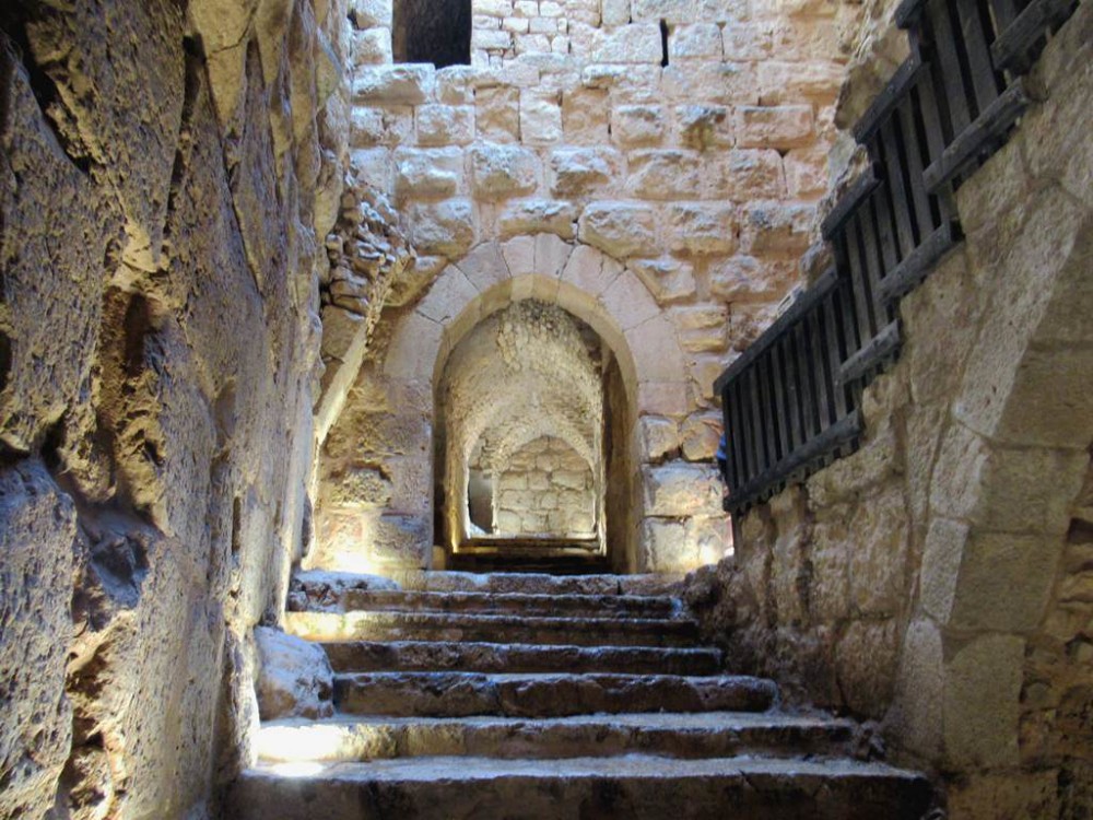 From Amman: Private Day Tour to Jerash and Ajloun | ®ExcursionMania