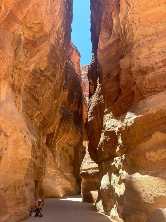 From Amman : Private Full day tour to Petra | ®ExcursionMania