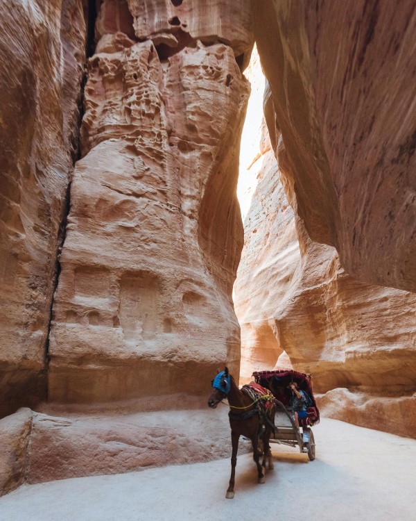 From Amman : Private Full day tour to Petra | ®ExcursionMania