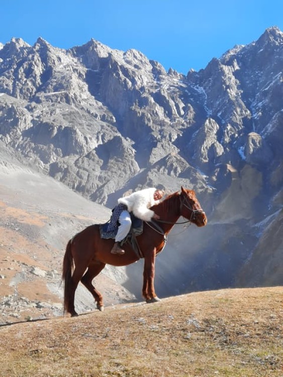 Horse Riding Tour in Kazbegi | ®ExcursionMania