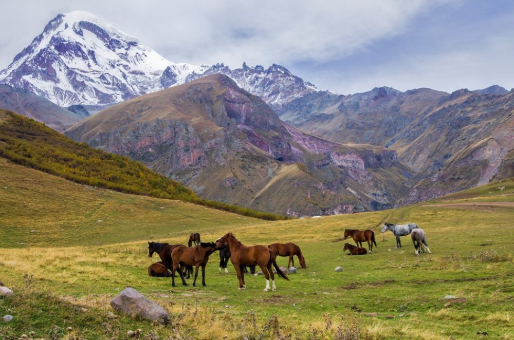 Horse Riding Tour in Kazbegi | ®ExcursionMania