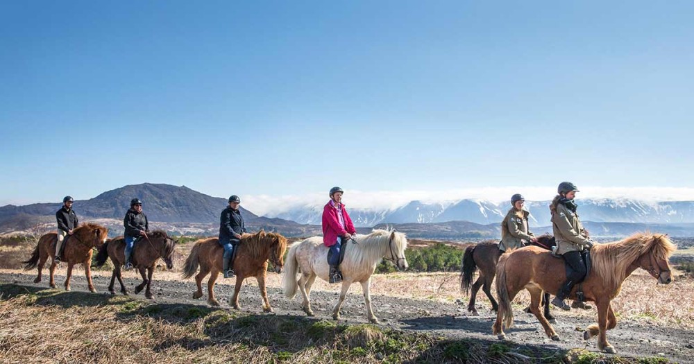 Horse Riding Tour in Kazbegi | ®ExcursionMania