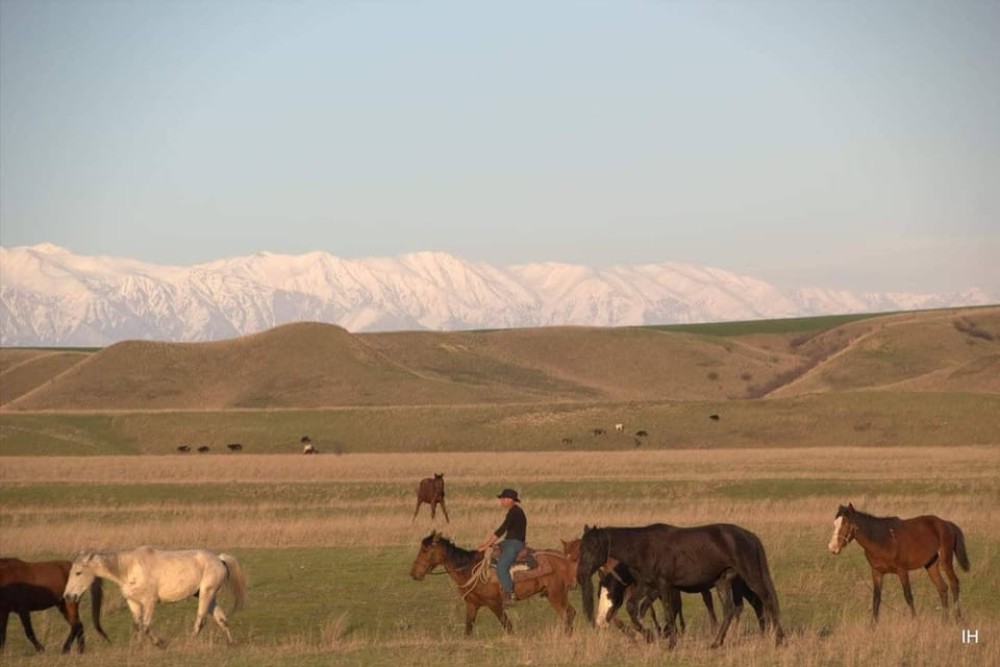 Vashlovani Nature Reserve: Horse Riding Tour | ®ExcursionMania