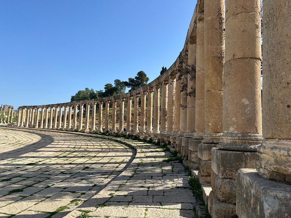 From Amman: Private Full Day Tour Jerash Ajloun & Um Qais | ®ExcursionMania