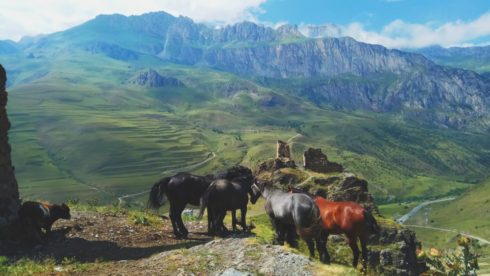Ride A Horse To Gergeti Trinity Church And Summit A Mountain | ®ExcursionMania
