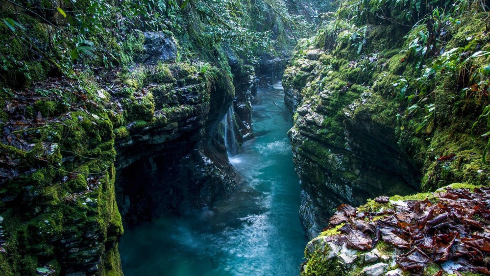 From Tbilisi: Kutaisi Canyons and Caves Full Day Tour | ®ExcursionMania