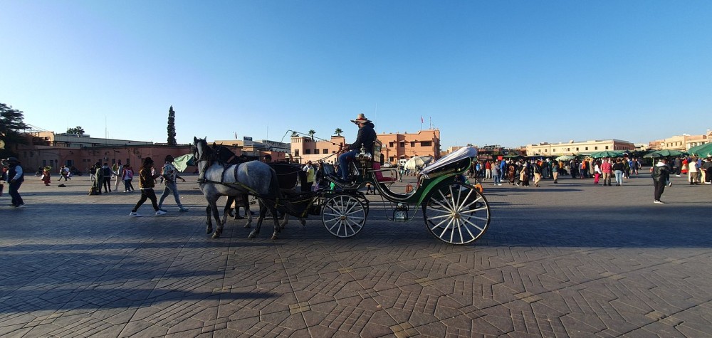 Marrakech Day Trip From Agadir | ®ExcursionMania