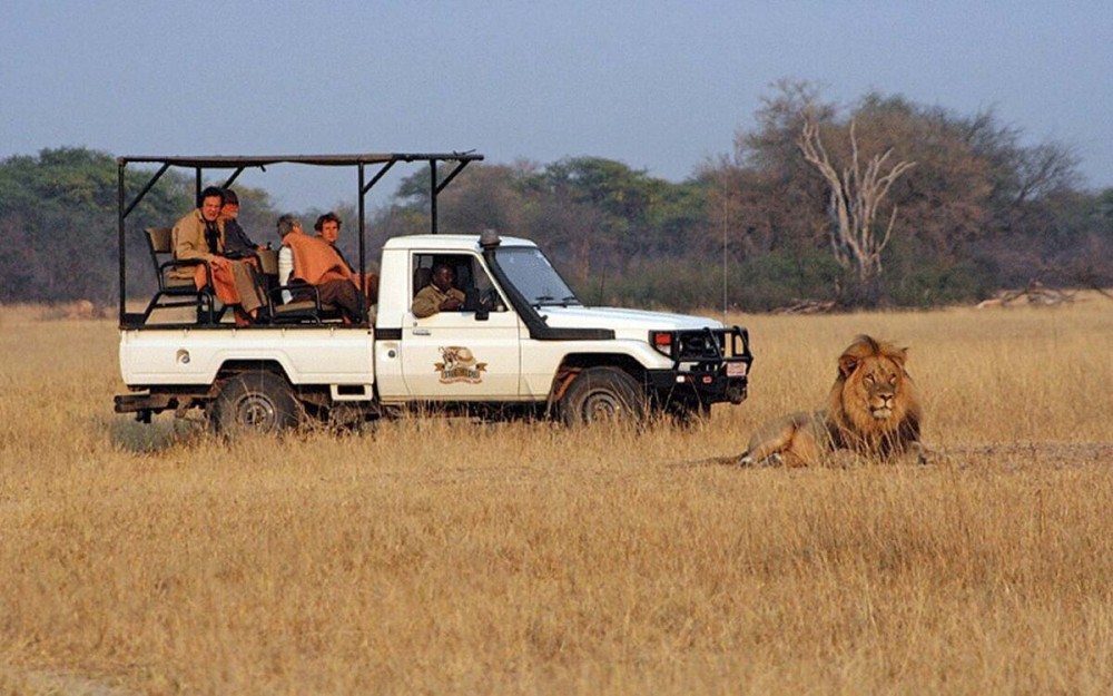 Safari : Big 5 - Hwange National Park Safari Day Tour | ®ExcursionMania