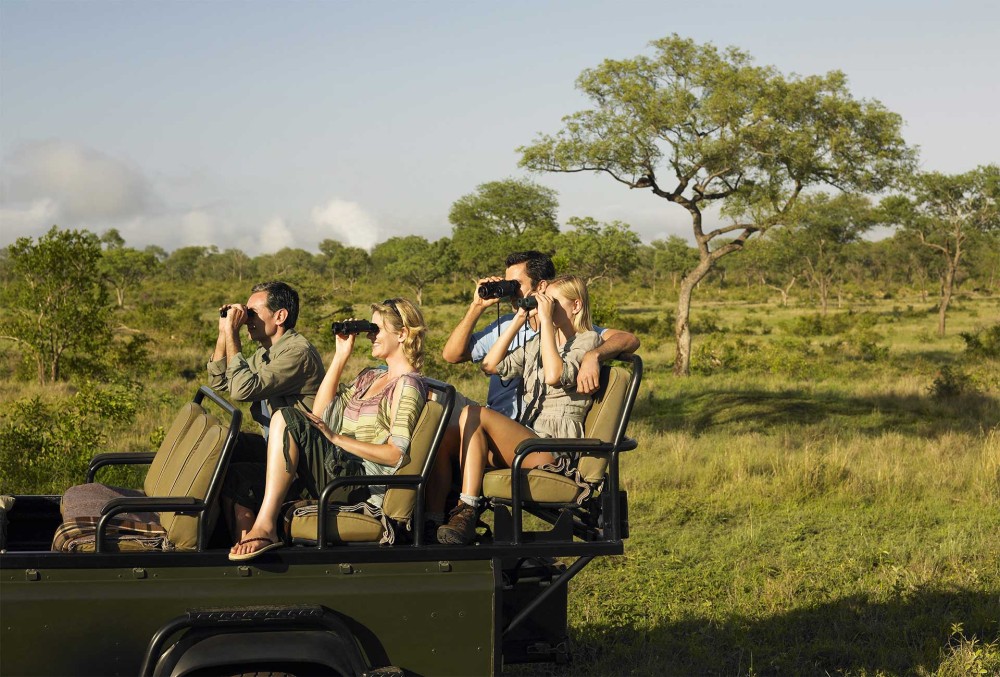 Safari : Big 5 - Hwange National Park Safari Day Tour | ®ExcursionMania