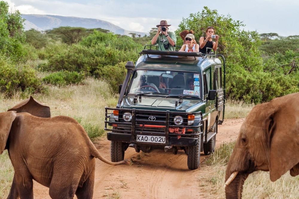 Safari : Big 5 - Hwange National Park Safari Day Tour | ®ExcursionMania