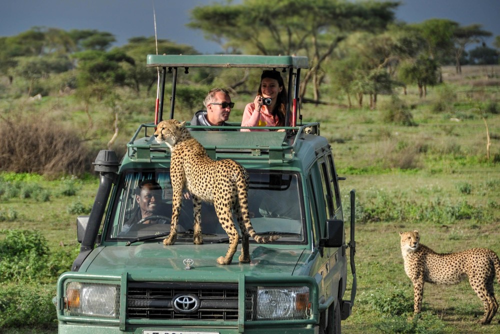 Victoria Falls: Where Adventure Meets Nature's Beauty