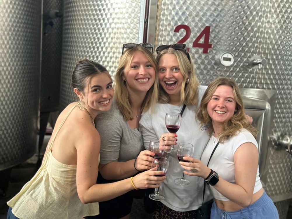 Tbilisi: Kakheti Wine Region Tour with 8 Wine Tastings | ®ExcursionMania