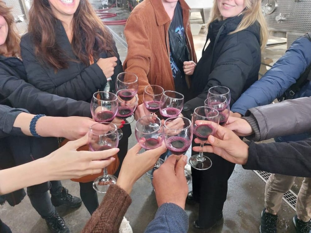 Tbilisi: Kakheti Wine Region Tour with 8 Wine Tastings | ®ExcursionMania