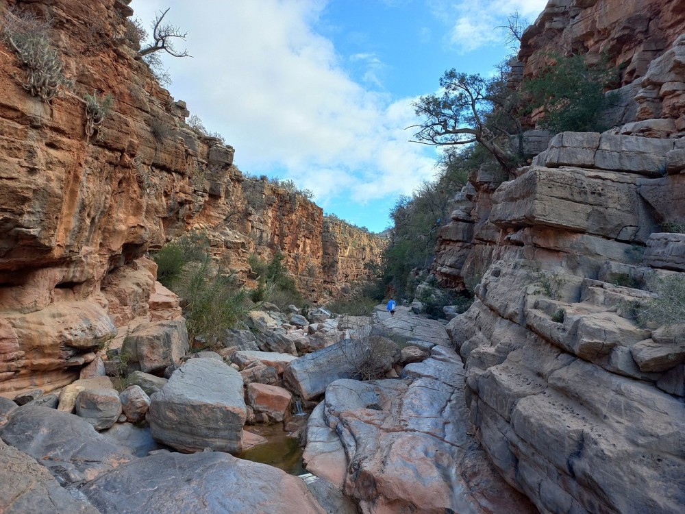 Agadir Taghazout: Paradise Valley & Atlas Mountains Swimming Trip | ®ExcursionMania