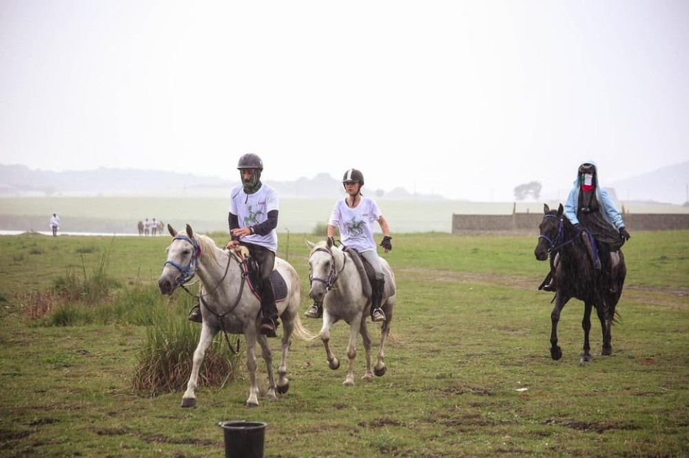 Tbilisi: Kakheti Horse Riding, Wine Tasting, and Cooking | ®ExcursionMania