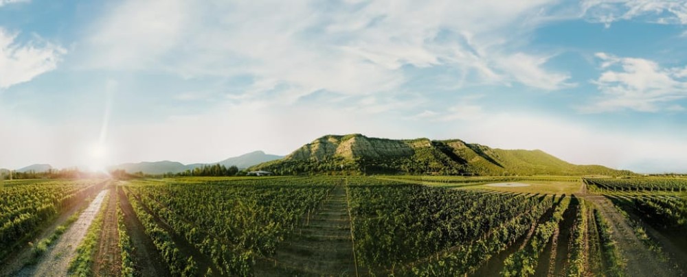 Tbilisi: Kakheti Horse Riding, Wine Tasting, and Cooking | ®ExcursionMania