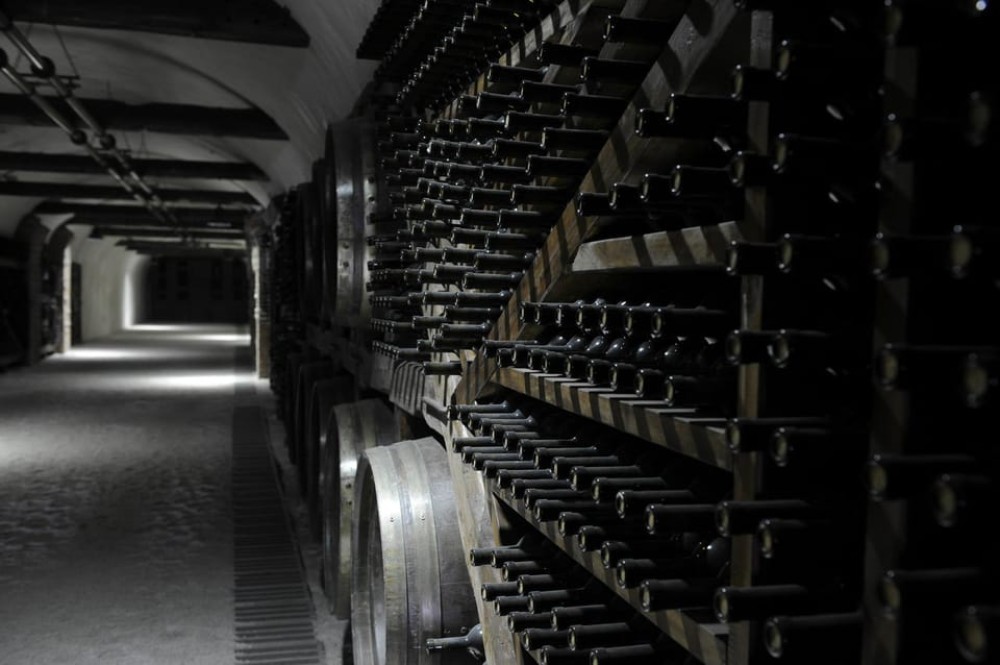 Tbilisi: Kakheti Horse Riding, Wine Tasting, and Cooking | ®ExcursionMania