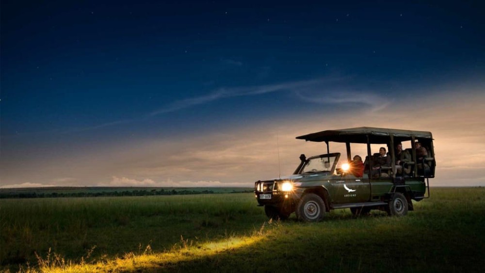 Victoria Falls: Big 5 Night Rhino Game Drive  Bush Dinner | ®ExcursionMania
