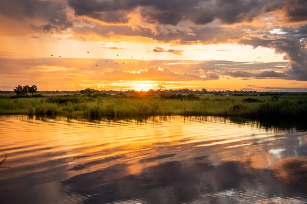 Victoria Falls: Big 5 Night Rhino Game Drive  Bush Dinner | ®ExcursionMania