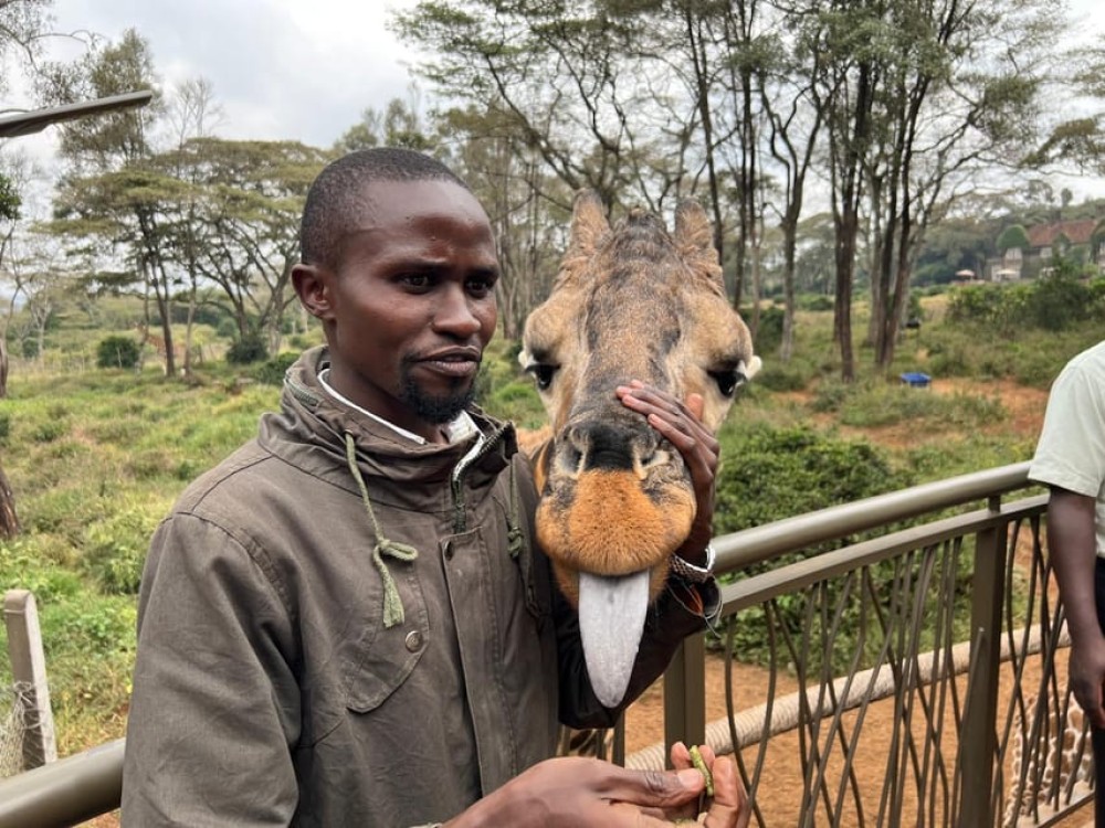 Elephant Orphanage and Giraffe Center Tour | ®ExcursionMania