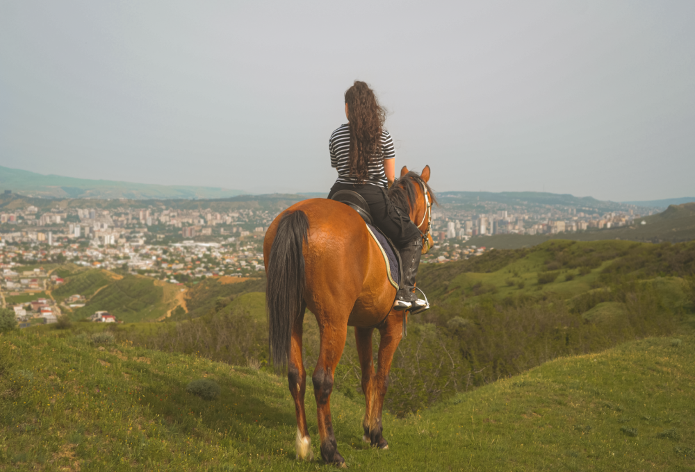 Tbilisi: Horseback Riding Experience | ®ExcursionMania