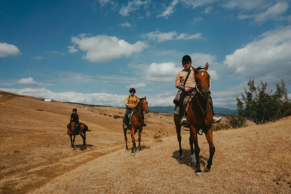 Tbilisi: Horseback Riding Experience | ®ExcursionMania