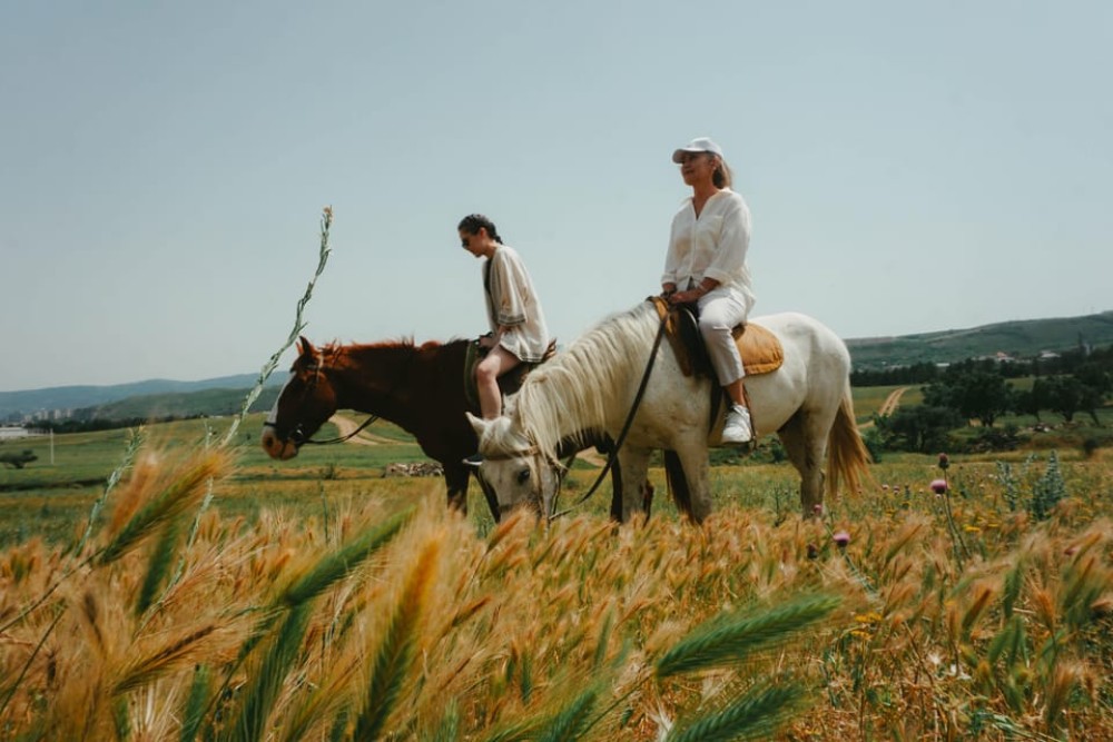 Tbilisi: Horseback Riding Experience | ®ExcursionMania