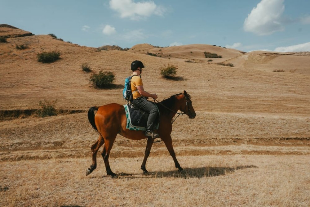 Tbilisi: Horseback Riding Experience | ®ExcursionMania