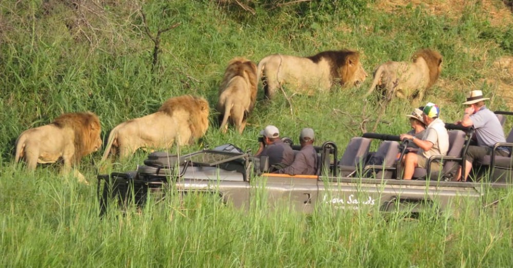 Kasane: Full Day Chobe National Park Safari with Lunch | ®ExcursionMania