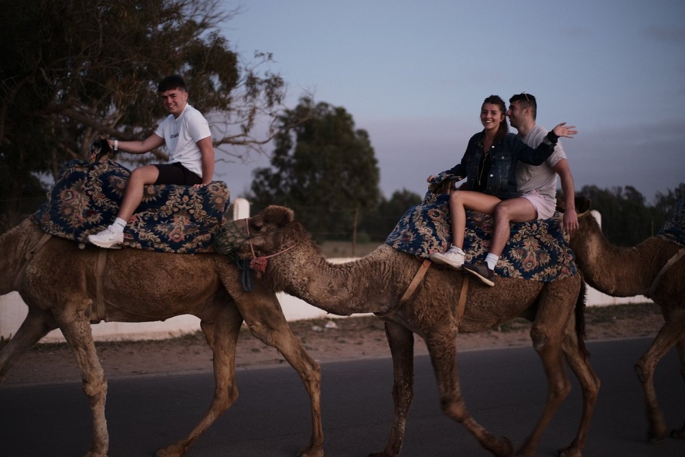 Sunset Camel Ride in Agadir or Taghazout With Transfers | ®ExcursionMania