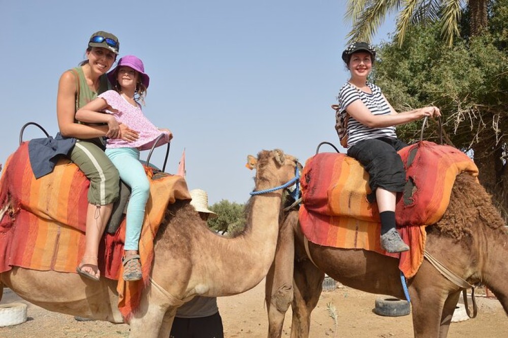 Sunset Camel Ride in Agadir or Taghazout With Transfers | ®ExcursionMania