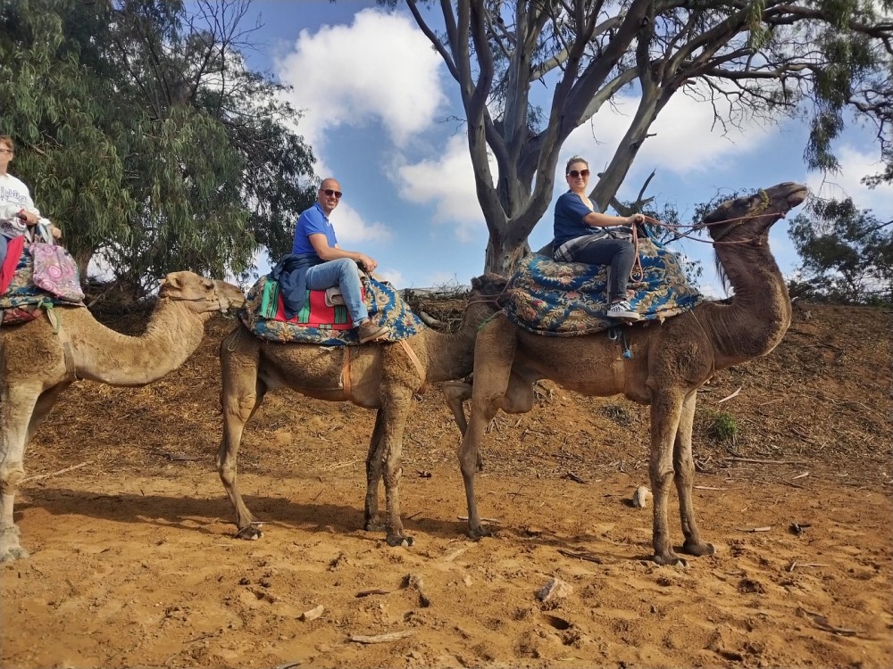 Sunset Camel Ride in Agadir or Taghazout With Transfers | ®ExcursionMania