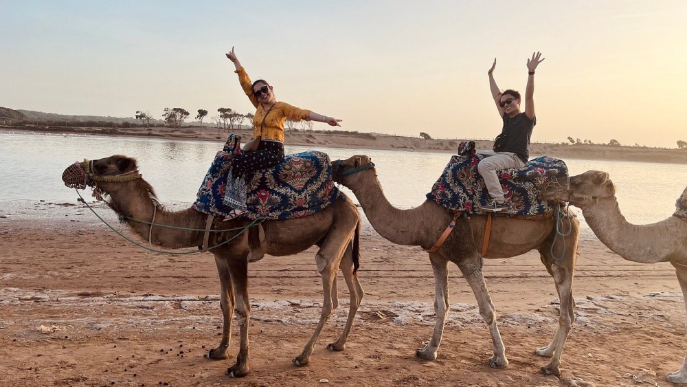 Sunset Camel Ride in Agadir or Taghazout With Transfers | ®ExcursionMania
