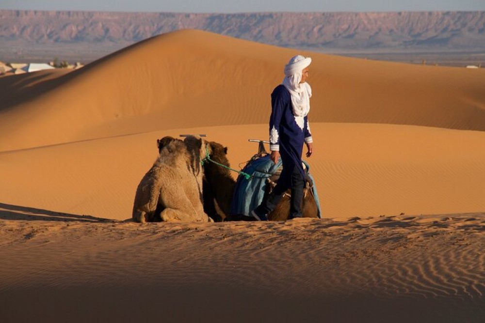 Agadir Desert Trip With Lunch | ®ExcursionMania
