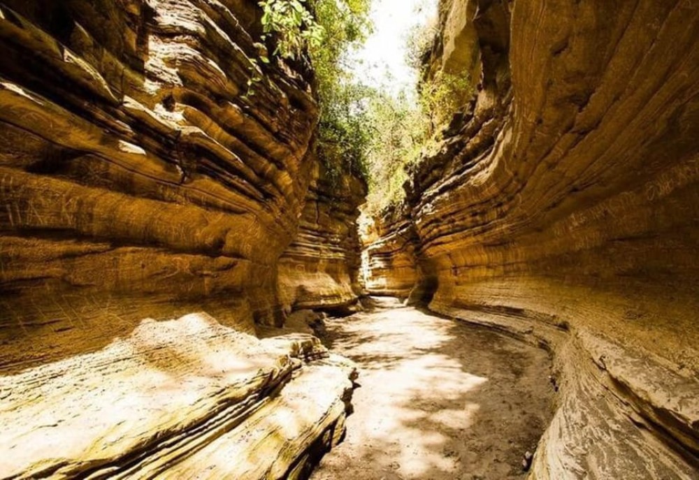 Lake Naivasha and hellsgate day tour from Nairobi | ®ExcursionMania