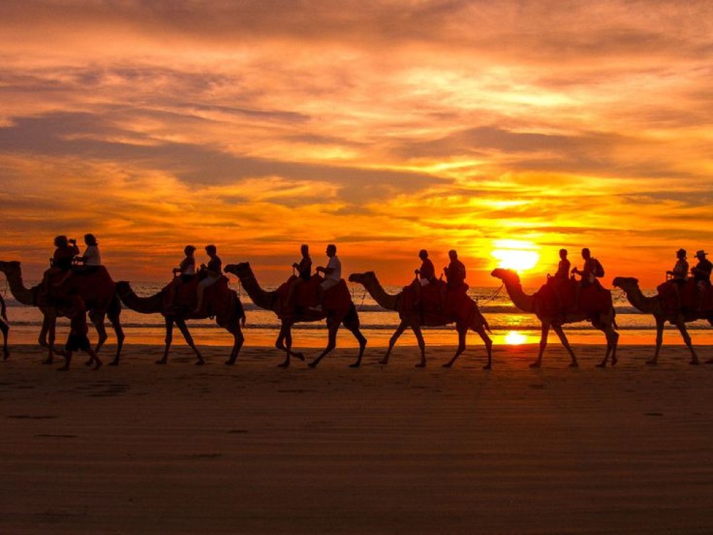 2 Hour Camel Ride From Agadir or Taghazout | ®ExcursionMania