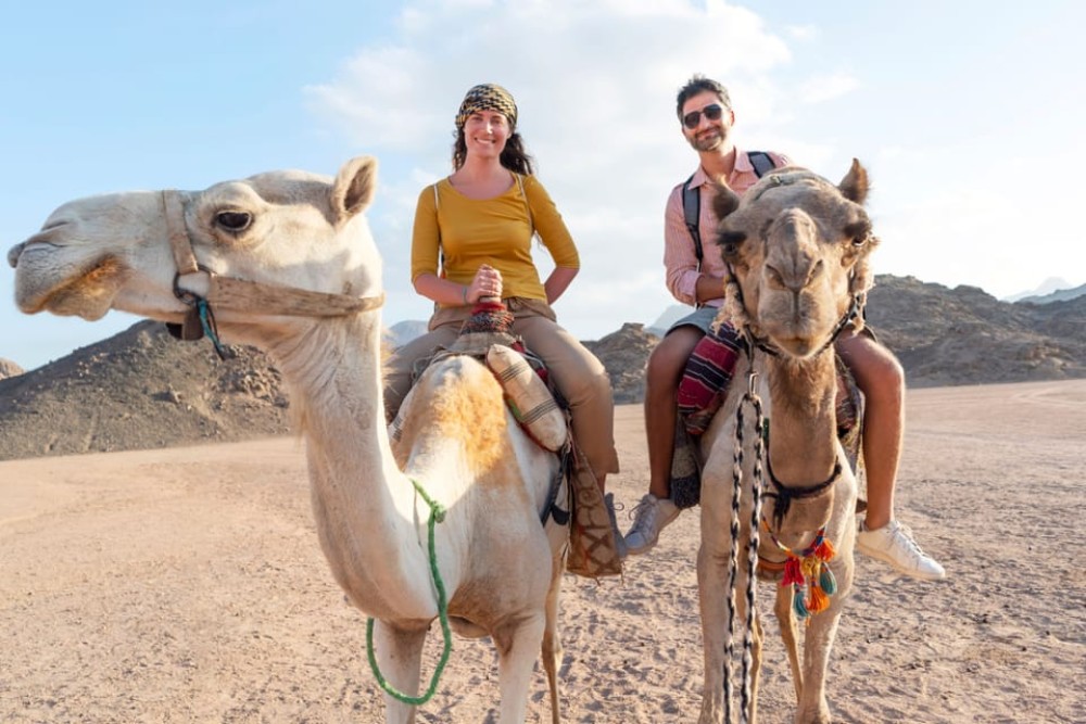 2 Hour Camel Ride From Agadir or Taghazout | ®ExcursionMania