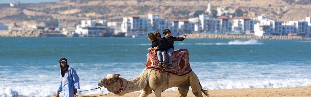 2 Hour Camel Ride From Agadir or Taghazout | ®ExcursionMania