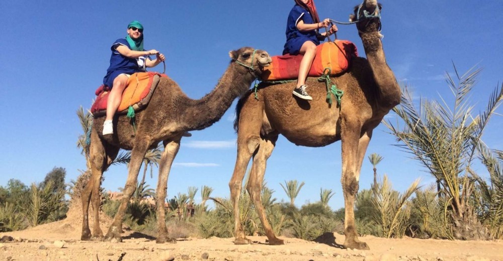 2 Hour Camel Ride From Agadir or Taghazout | ®ExcursionMania