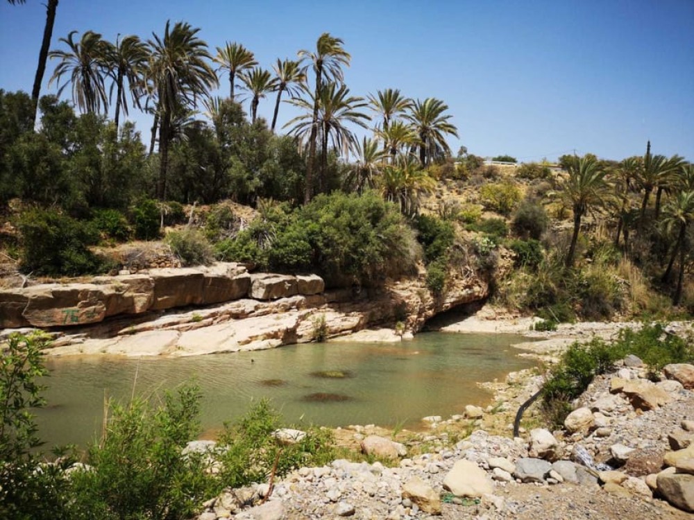 Agadir or Taghazout: Paradise Valley Atlas Mountain Swimming Trip | ®ExcursionMania