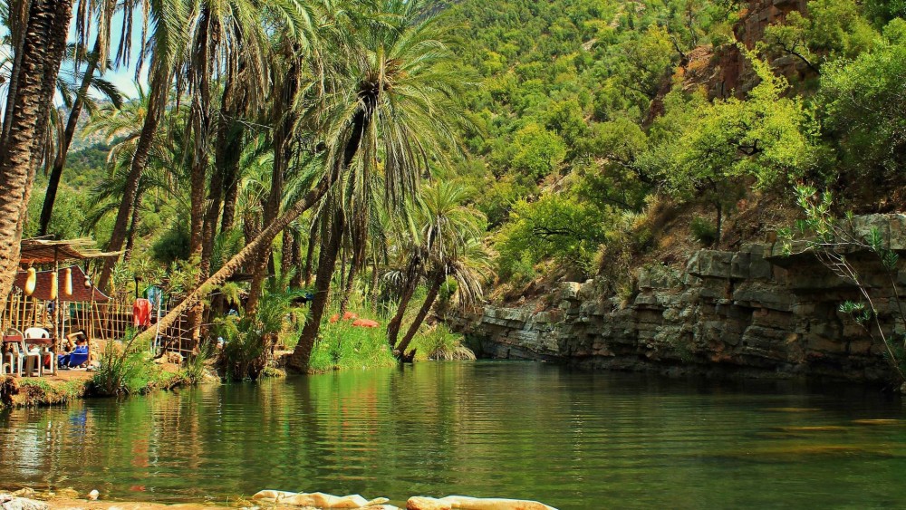 Agadir or Taghazout: Paradise Valley Atlas Mountain Swimming Trip | ®ExcursionMania