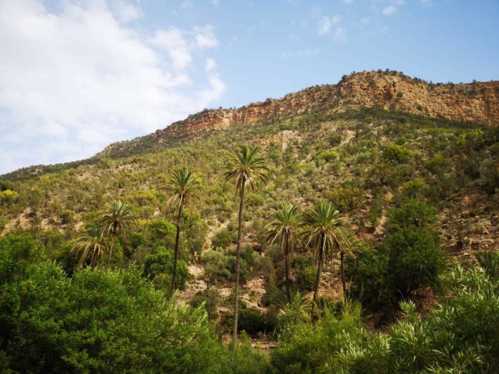 Agadir or Taghazout: Paradise Valley Atlas Mountain Swimming Trip | ®ExcursionMania