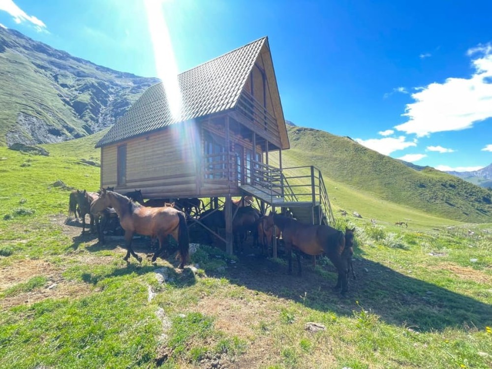 Kazbegi: Horse Riding Adventure from Rooms Hotel Kazbegi | ®ExcursionMania