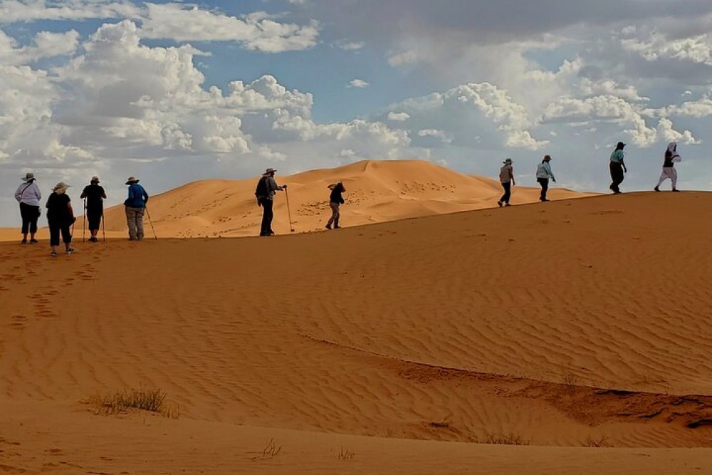 Agadir Desert Safari Day Trip with Lunch and Agadir City Tour | ®ExcursionMania