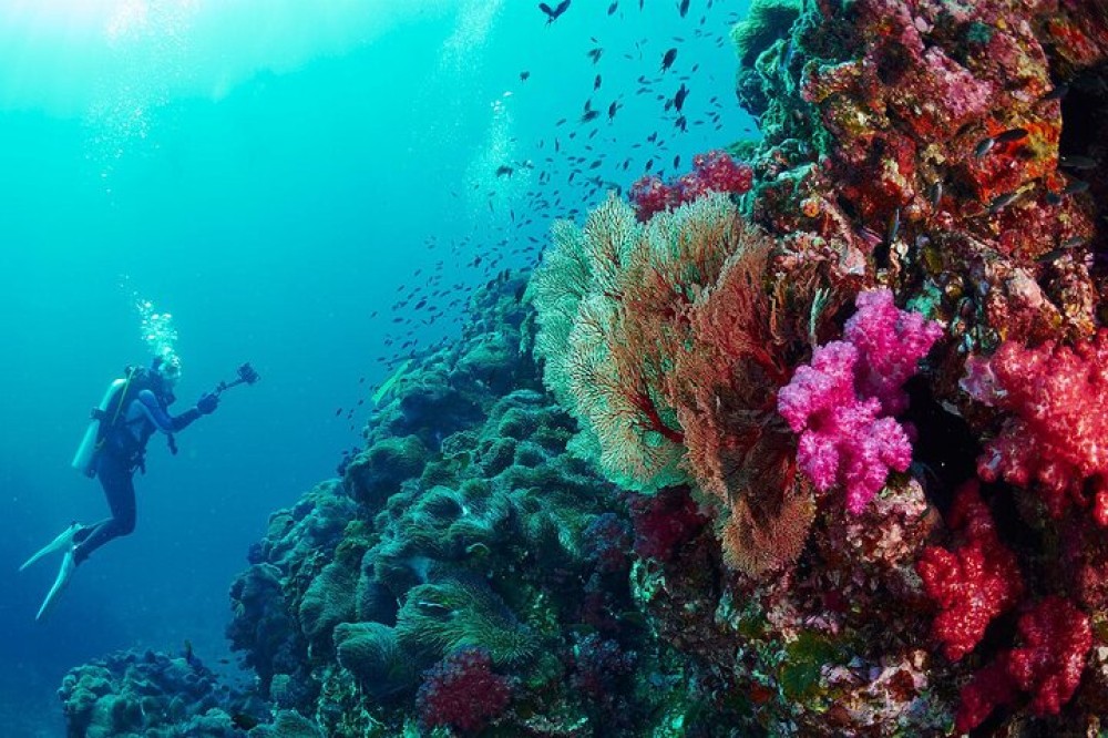 Phuket: A Paradise for Adventurers