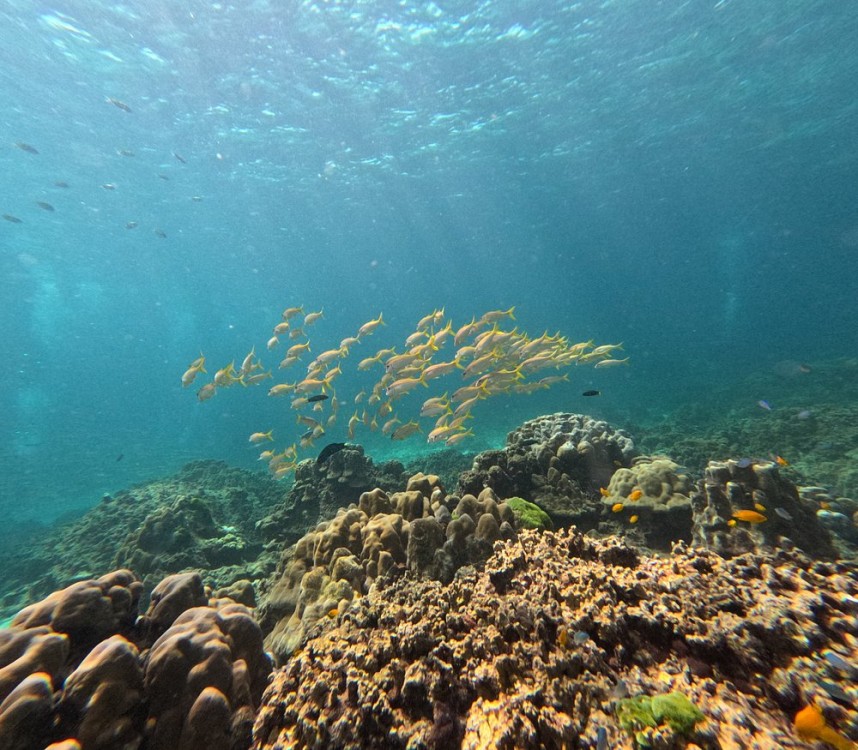 Full-Day Racha Yai Private Scuba Diving Course from Phuket | ®ExcursionMania