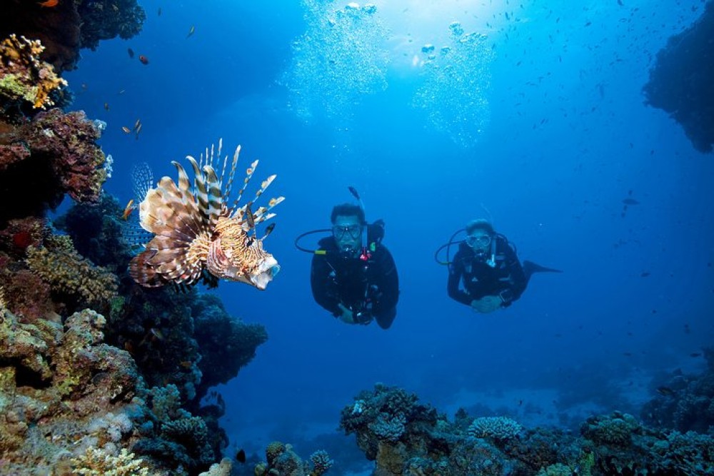 Full-Day Racha Yai Private Scuba Diving Course from Phuket | ®ExcursionMania